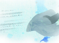 Dibujos realizados por niños de diferentes escuelas